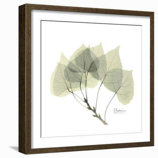 Aspen Portrait-Albert Koetsier-Framed Premium Giclee Print