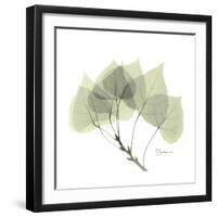 Aspen Portrait-Albert Koetsier-Framed Premium Giclee Print