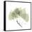 Aspen Portrait-Albert Koetsier-Framed Stretched Canvas