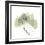 Aspen Portrait-Albert Koetsier-Framed Premium Giclee Print