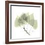 Aspen Portrait-Albert Koetsier-Framed Premium Giclee Print