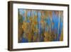 Aspen Reflection-Don Paulson-Framed Giclee Print