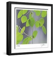 Aspen Sapling-Ken Bremer-Framed Limited Edition