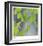 Aspen Sapling-Ken Bremer-Framed Limited Edition