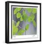 Aspen Sapling-Ken Bremer-Framed Limited Edition