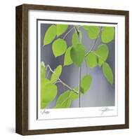 Aspen Sapling-Ken Bremer-Framed Limited Edition