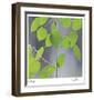 Aspen Sapling-Ken Bremer-Framed Limited Edition