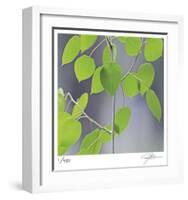 Aspen Sapling-Ken Bremer-Framed Limited Edition