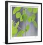 Aspen Sapling-Ken Bremer-Framed Limited Edition