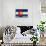 Aspen - Snowmass, Colorado State Flag-Lantern Press-Stretched Canvas displayed on a wall