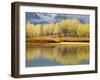 Aspen Stand and Reflection in Early Spring, Grand Teton National Park, Wyoming, Usa-Adam Jones-Framed Photographic Print