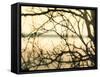 Aspen Sunset-Savanah Plank-Framed Stretched Canvas