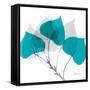 Aspen Teal E143-Albert Koetsier-Framed Stretched Canvas