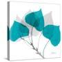 Aspen Teal E143-Albert Koetsier-Stretched Canvas