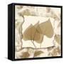 Aspen Touches-Albert Koetsier-Framed Stretched Canvas