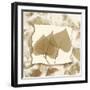 Aspen Touches-Albert Koetsier-Framed Art Print