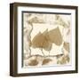 Aspen Touches-Albert Koetsier-Framed Art Print