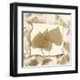 Aspen Touches-Albert Koetsier-Framed Art Print