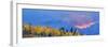 Aspen tree forest in autumn at sunset and Teton Range, Grand Teton National Park, Wyoming, USA-Panoramic Images-Framed Photographic Print