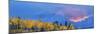 Aspen tree forest in autumn at sunset and Teton Range, Grand Teton National Park, Wyoming, USA-Panoramic Images-Mounted Photographic Print