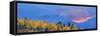 Aspen tree forest in autumn at sunset and Teton Range, Grand Teton National Park, Wyoming, USA-Panoramic Images-Framed Stretched Canvas