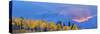 Aspen tree forest in autumn at sunset and Teton Range, Grand Teton National Park, Wyoming, USA-Panoramic Images-Stretched Canvas
