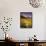 Aspen Tree, Snowcapped Mountain, San Juan National Forest, Colorado, USA-Stuart Westmorland-Framed Stretched Canvas displayed on a wall