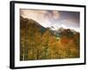 Aspen Tree, Snowcapped Mountain, San Juan National Forest, Colorado, USA-Stuart Westmorland-Framed Photographic Print