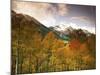 Aspen Tree, Snowcapped Mountain, San Juan National Forest, Colorado, USA-Stuart Westmorland-Mounted Photographic Print