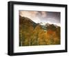 Aspen Tree, Snowcapped Mountain, San Juan National Forest, Colorado, USA-Stuart Westmorland-Framed Photographic Print