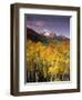 Aspen Tree, Snowcapped Mountain, San Juan National Forest, Colorado, USA-Stuart Westmorland-Framed Premium Photographic Print