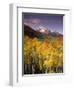 Aspen Tree, Snowcapped Mountain, San Juan National Forest, Colorado, USA-Stuart Westmorland-Framed Premium Photographic Print