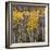 Aspen Trees 2-Jamie Cook-Framed Giclee Print