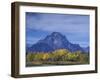 Aspen Trees along Oxbow Bend, Grand Tetons National Park, Wyoming, USA-Hugh Rose-Framed Photographic Print