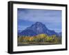 Aspen Trees along Oxbow Bend, Grand Tetons National Park, Wyoming, USA-Hugh Rose-Framed Photographic Print