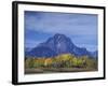 Aspen Trees along Oxbow Bend, Grand Tetons National Park, Wyoming, USA-Hugh Rose-Framed Photographic Print