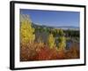 Aspen Trees and Black Hawthorn, Grand Teton National Park, Wyoming, USA-Rolf Nussbaumer-Framed Photographic Print