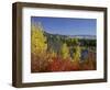 Aspen Trees and Black Hawthorn, Grand Teton National Park, Wyoming, USA-Rolf Nussbaumer-Framed Photographic Print