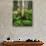 Aspen Trees and Cow Parsnip in White River National Forest, Colorado, USA-Adam Jones-Photographic Print displayed on a wall