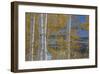 Aspen Trees and Lake-Don Paulson-Framed Giclee Print