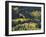 Aspen Trees, Endovalley, Rocky Mountain National Park, Colorado, USA-Rolf Nussbaumer-Framed Photographic Print