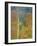 Aspen Trees Gothic Valley-Donald Paulson-Framed Giclee Print