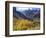 Aspen Trees in Autumn Color in the Mcgee Creek Area, Sierra Nevada Mountains, California, USA-Christopher Talbot Frank-Framed Photographic Print