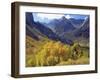 Aspen Trees in Autumn Color in the Mcgee Creek Area, Sierra Nevada Mountains, California, USA-Christopher Talbot Frank-Framed Photographic Print