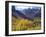 Aspen Trees in Autumn Color in the Mcgee Creek Area, Sierra Nevada Mountains, California, USA-Christopher Talbot Frank-Framed Photographic Print