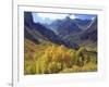 Aspen Trees in Autumn Color in the Mcgee Creek Area, Sierra Nevada Mountains, California, USA-Christopher Talbot Frank-Framed Photographic Print