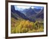 Aspen Trees in Autumn Color in the Mcgee Creek Area, Sierra Nevada Mountains, California, USA-Christopher Talbot Frank-Framed Photographic Print