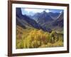 Aspen Trees in Autumn Color in the Mcgee Creek Area, Sierra Nevada Mountains, California, USA-Christopher Talbot Frank-Framed Photographic Print