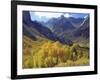 Aspen Trees in Autumn Color in the Mcgee Creek Area, Sierra Nevada Mountains, California, USA-Christopher Talbot Frank-Framed Photographic Print