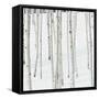 Aspen Trees in Snow-Micha Pawlitzki-Framed Stretched Canvas